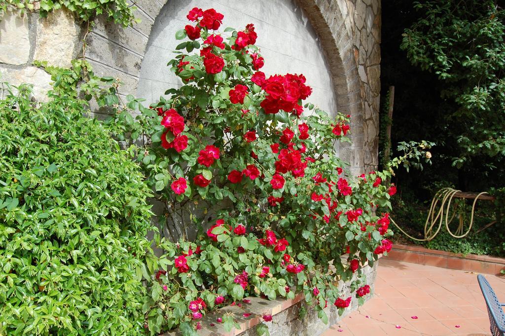 Villa Romita SantʼAgata sui Due Golfi Dış mekan fotoğraf