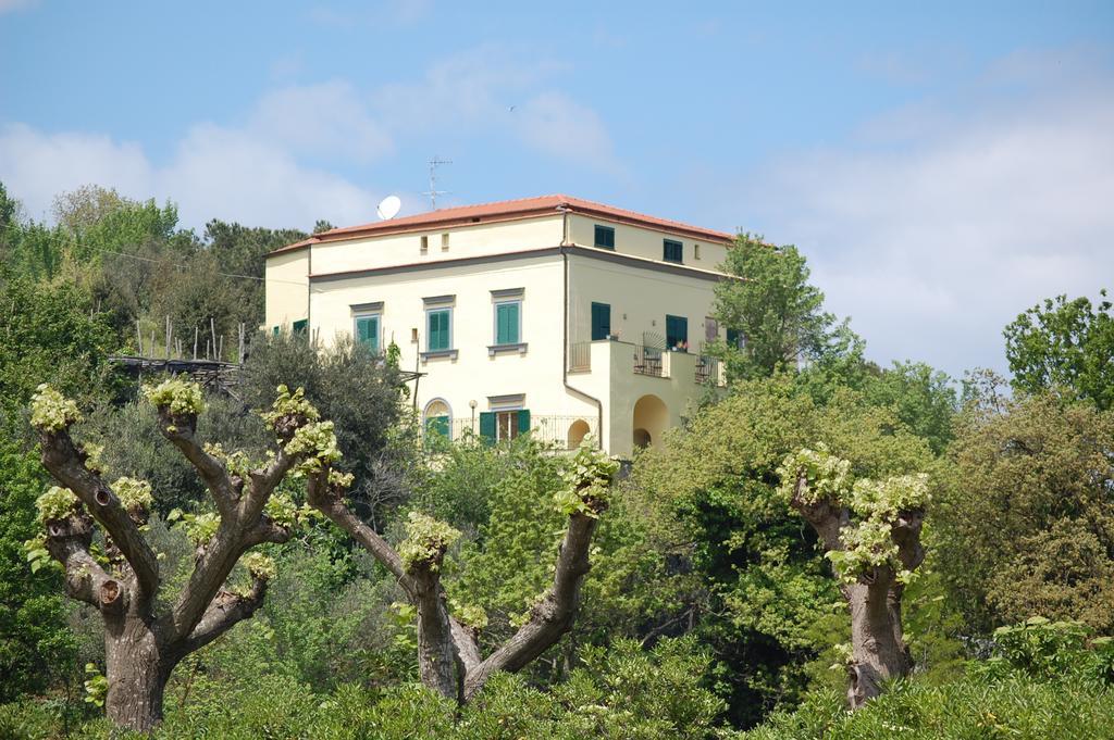 Villa Romita SantʼAgata sui Due Golfi Dış mekan fotoğraf